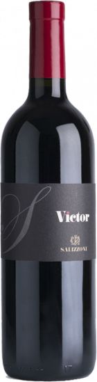 2021 Victor Trentino Superiore DOC - Travino Special Valsugana