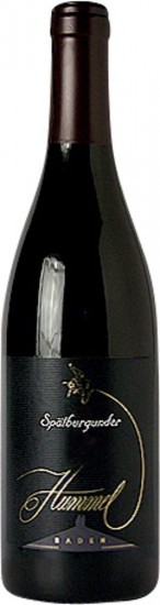2012 Malscher Rotsteig Spätburgunder 'R' Barrique Auslese Trocken - Wein- und Sektgut Hummel