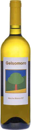2024 Gelsomoro - Marche IGP Bianco trocken Bio - Gelso Moro