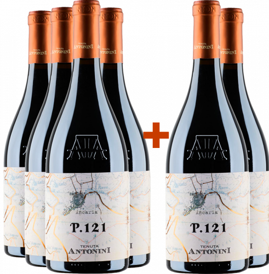 4+2 Paket P.121 Montepulciano D’Abruzzo DOCG - Tenuta Antonini Alessio
