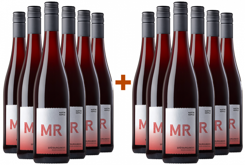 6+6 2024 MR Fasskollektion Spätburgunder trocken - Weingut Fasskollektion
