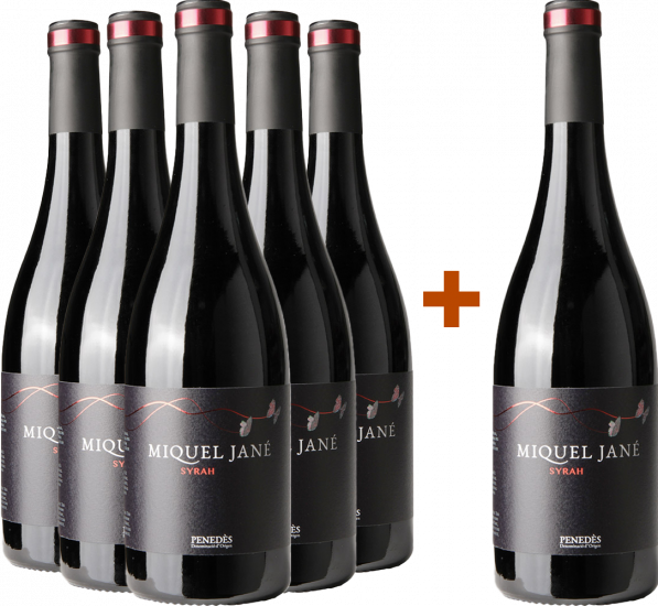 Aktionspaket 5+1 Syrah Penedès DO Bio - Miquel Jané
