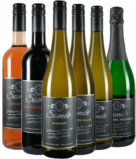 Somée Kennenlern-Paket - Somee