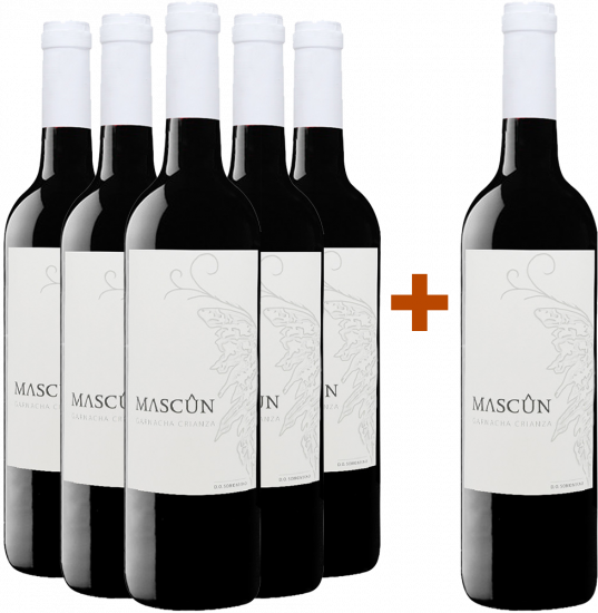 Aktionspaket 5+1 Bodegas Osca Garnacha Crianza Somontano DO - Bodegas Osca