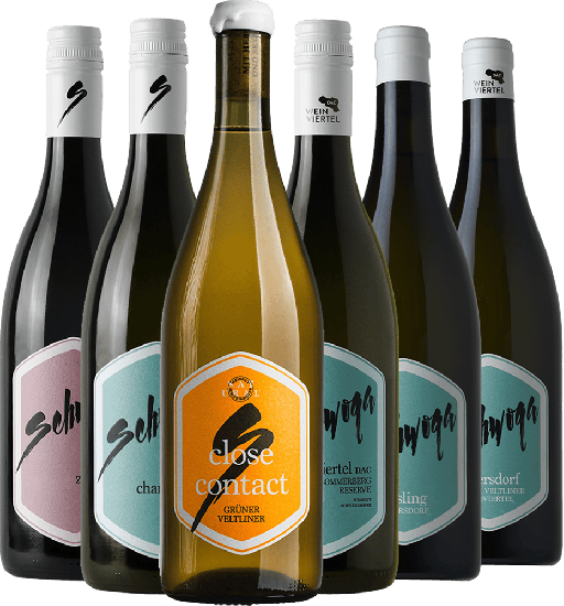 Entdecker Paket - Schwoga - Weingut Schweighofer