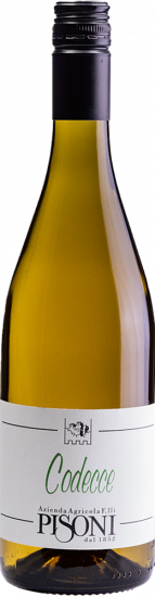 2024 Codecce Vigneti delle Dolomiti IGP trocken Bio - Pisoni Azienda Agricola