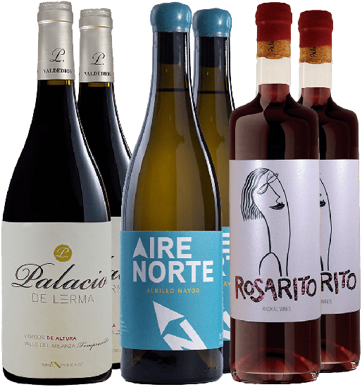 Bodegas Palacio de Lerma Probierpaket - Bodegas Palacio de Lerma