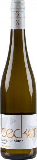 2025 SAUVIGNON BLANC trocken - Weingut Becker