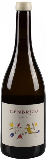 2021 Cámbrico Rufete Blanco Granito Sierra de Salamanca DOP trocken Bio - Viñas del Cambrico