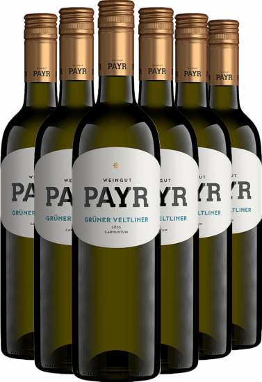 6er-Paket Grüner Veltliner vom Löss Carnuntum DAC ÖTW Gebietswein Bio - Bio Weingut Robert Payr