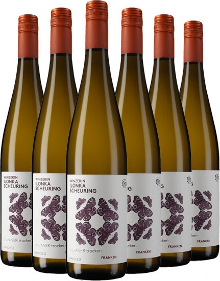 Silvaner Paket - Weingut Scheuring