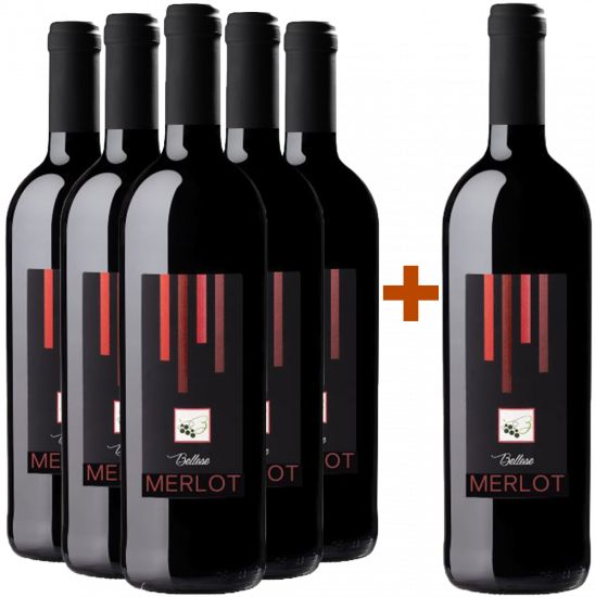 5+1 Paket Merlot Marca Trevigiana IGP - Bellese Vini