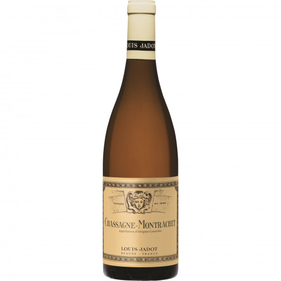 2023 Chassagne Montrachet trocken - Louis Jadot