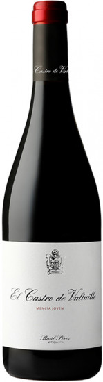 2023 El Castro de Valtuille Bierzo DO trocken - Castro Ventosa