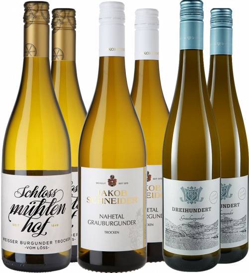Grauburgunder Premium-Paket - WirWinzer Select