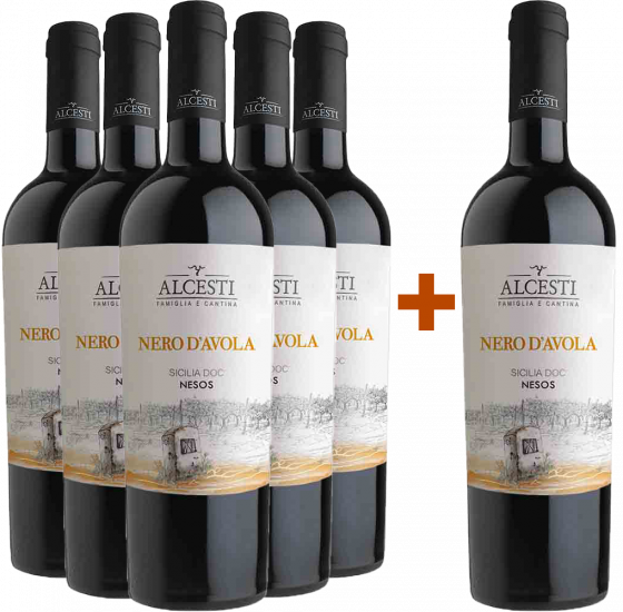 5+1 Paket Nesos Nero D'Avola Sicilia DOC - Alcesti