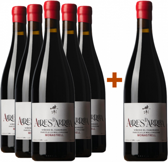 Aktionspaket 5+1 Aires de Arriba Monastrell Jumilla DO - Aires de Arriba