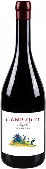 2021 Cámbrico Villanueva Sierra de Salamanca DOP trocken - Viñas del Cambrico