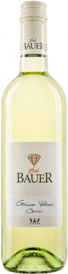 2024 Grüner Veltliner Riede Marienberg trocken - Weingut Emil Bauer