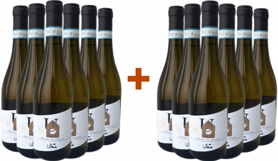 6+6 Paket Pecorino Abruzzo DOC Bio - Uma Casanatura