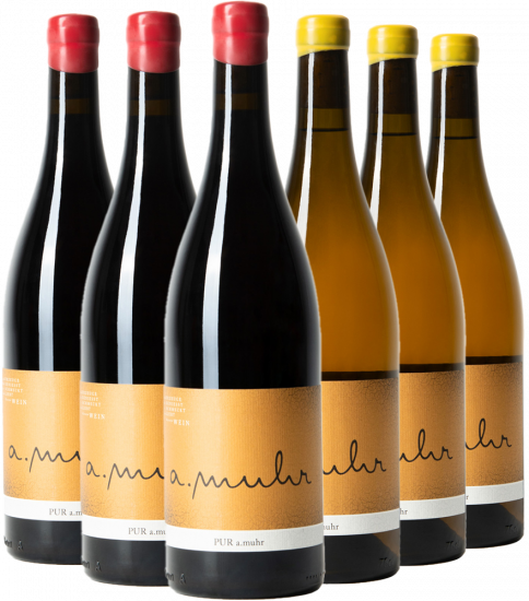 PUR Probierpaket - Weingut Andreas Muhr