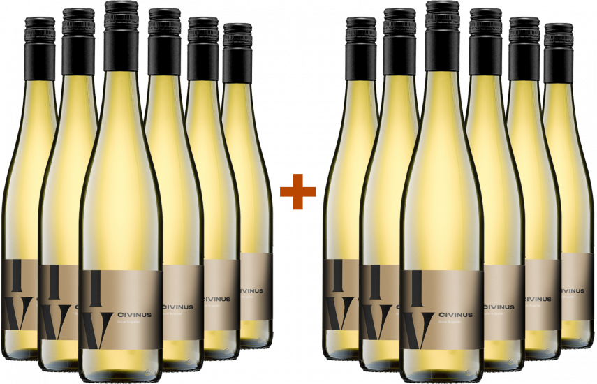 6+6 Civinius Grauer Burgunder BIO Bio - Weingut Franz