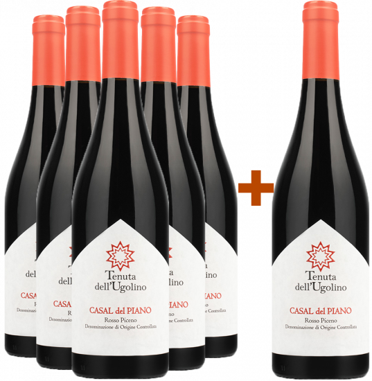 5+1 Paket Casal del Piano Rosso Piceno DOC - Tenuta dell'Ugolino