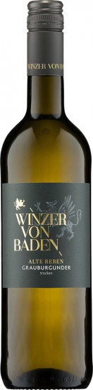 2024 Grauburgunder Alte Reben trocken - Winzer von Baden