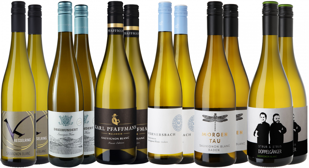 Große Sauvignon Blanc Reise