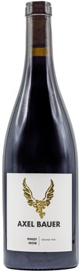 2019 Pinot Noir Grand Vin trocken - Weingut Axel Bauer