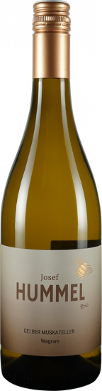 2025 Gelber Muskateller trocken Bio - Bioweingut Josef Hummel