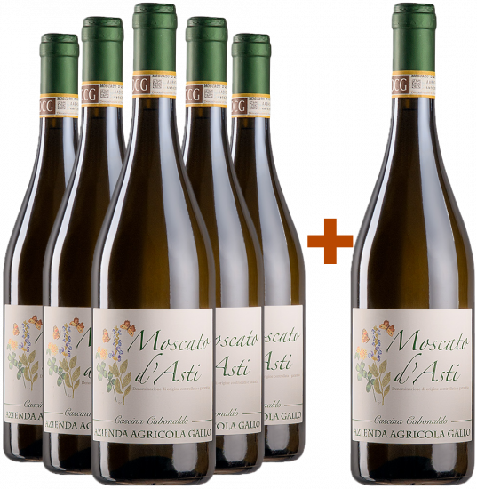5+1 Cascina Cabonaldo Moscato d’Asti DOCG - Azienda Agricola Gallo