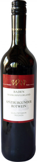 2020 Spätburgunder Rotwein Qualitätswein trocken - Weinhof Weber