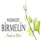 2022 Sauvignac trocken - Weingut Birmelin