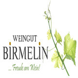 2024 Sauvignac trocken - Weingut Birmelin