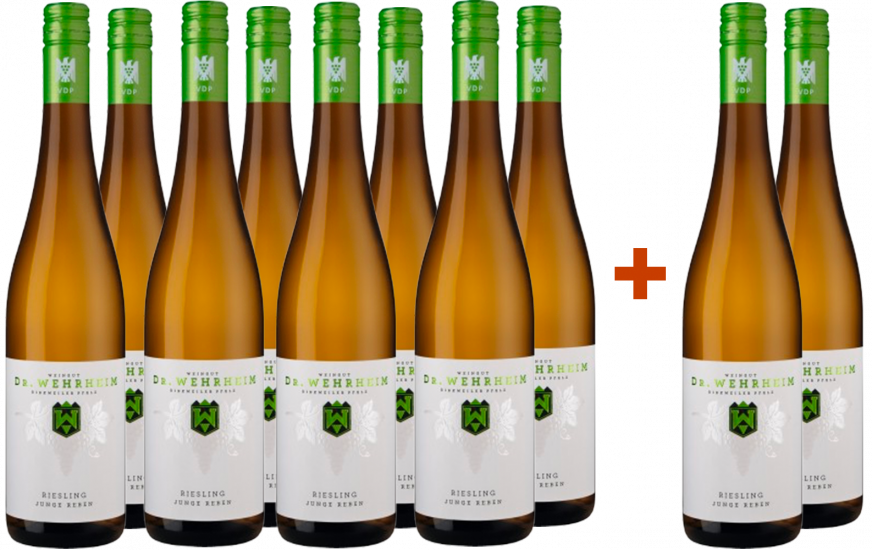 8+4 Paket Riesling Junge Reben VDP.Gutswein trocken Bio - Weingut Dr. Wehrheim Bio - Weingut Dr. Wehrheim