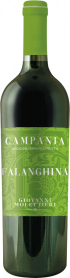 2023 Falanghina Campania IGP trocken - Giovanni Molettieri