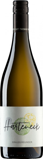 2022 Grauburgunder “Klassisch“ trocken Bio - Weingut Harteneck