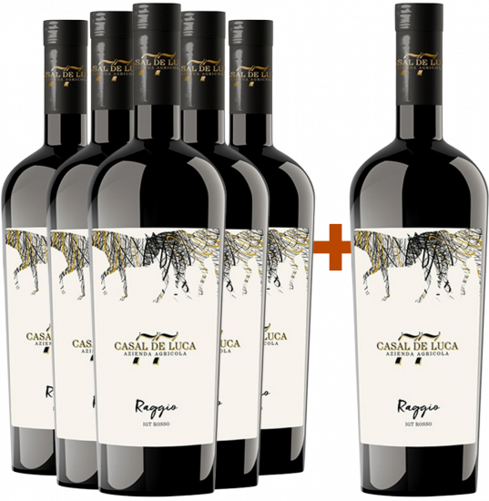 5+1 Paket Raggio Rosso Lazio IGP Bio - Azienda Agricola Casal De Luca