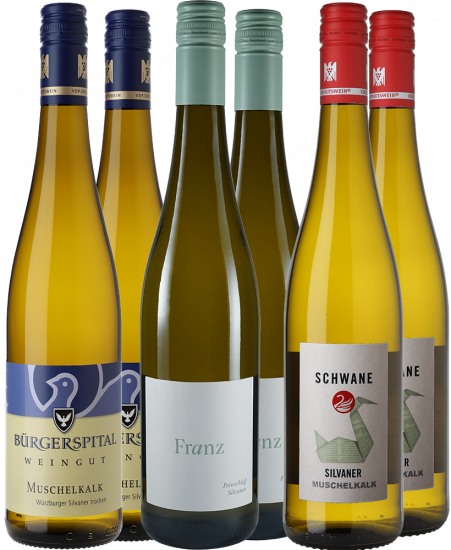 Spargel & Silvaner-Paket - WirWinzer Spezial