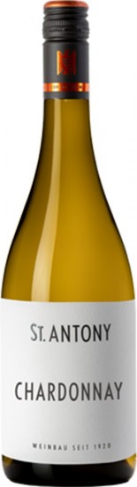 2021 Chardonnay VDP.Gutswein Bio - Weingut St. Antony