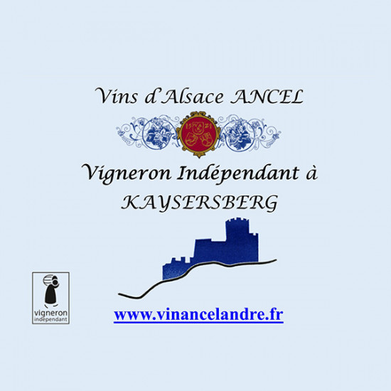 2025 AOC Pinot Noir trocken - Famille Ancel