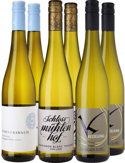 Sauvignon Blanc Entdecker-Paket