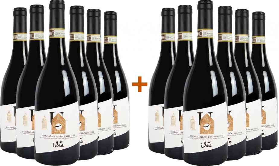 6+6 Paket Montepulciano d'Abruzzo Colline Teramane DOCG BIO Bio - Uma Casanatura