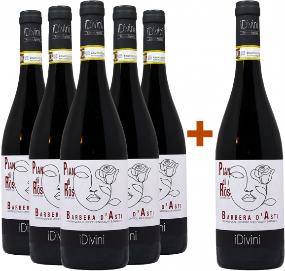 5+1 Paket Pian di Rös Barbera d’Asti DOCG - iDivini