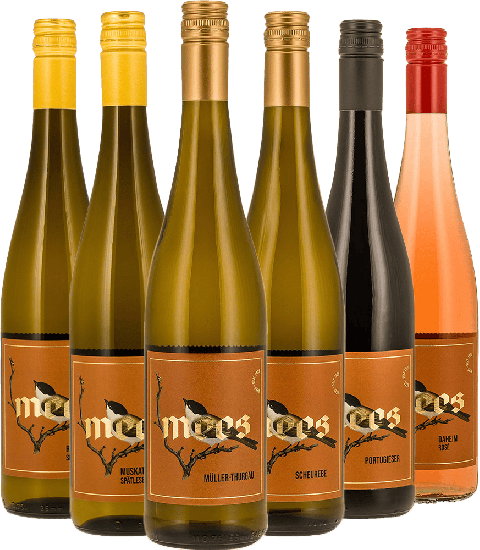 Probierpaket Sommerweine fruchtig & süß - Weingut Mees