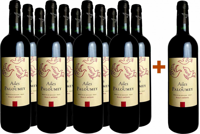 11+1 Paket Ailes de Paloumey - Château Paloumey