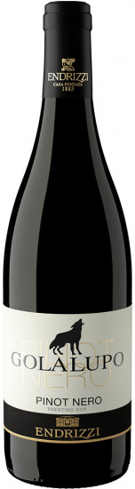 Golalupo Pinot Nero Trentino DOC trocken 1,5 L - Endrizzi