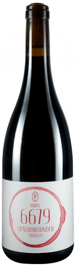 2022 Spätburgunder trocken - Weingut Ziser Fehrenbach