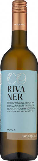 2024 Rivaner trocken - Weingut Schloss Affaltrach